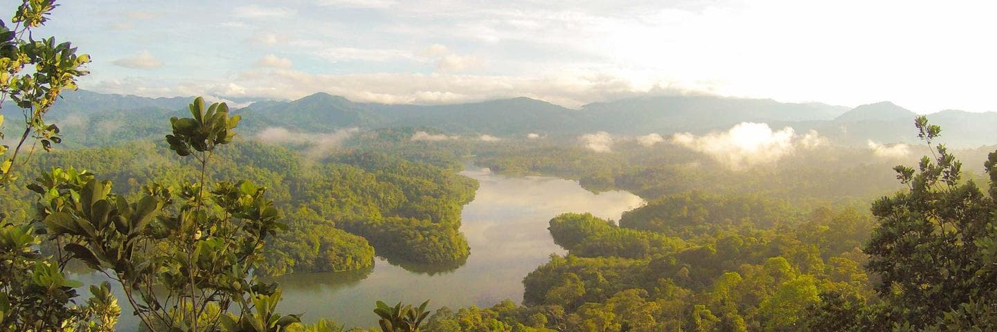 Phrao